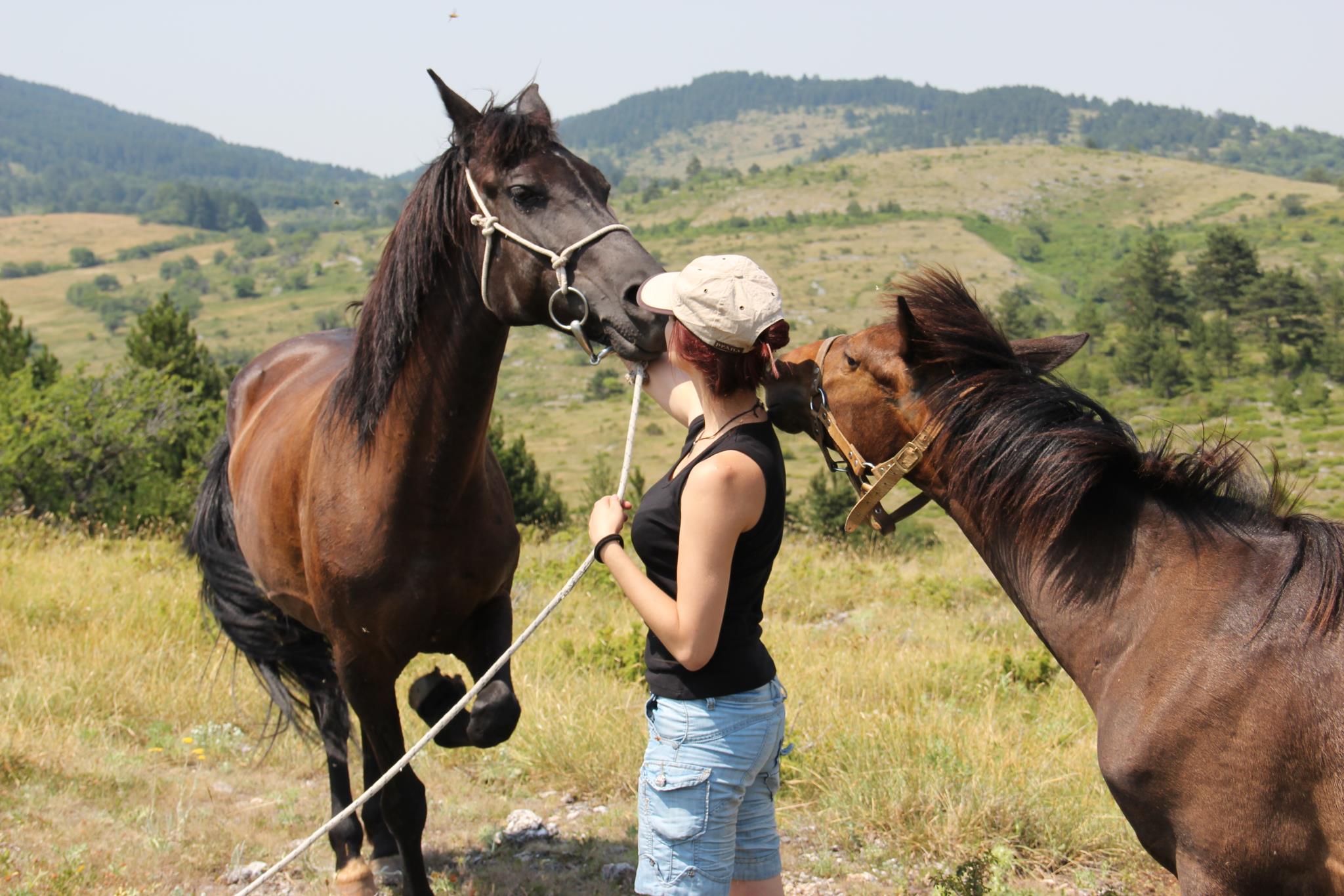 Защита от паразити — кога и как?