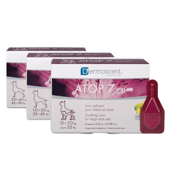 Премиум храна за котки